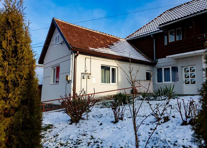 Apartament Acs Studio